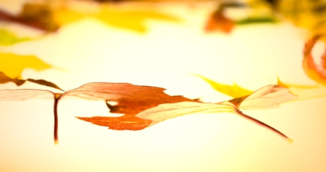 autumn_leaves